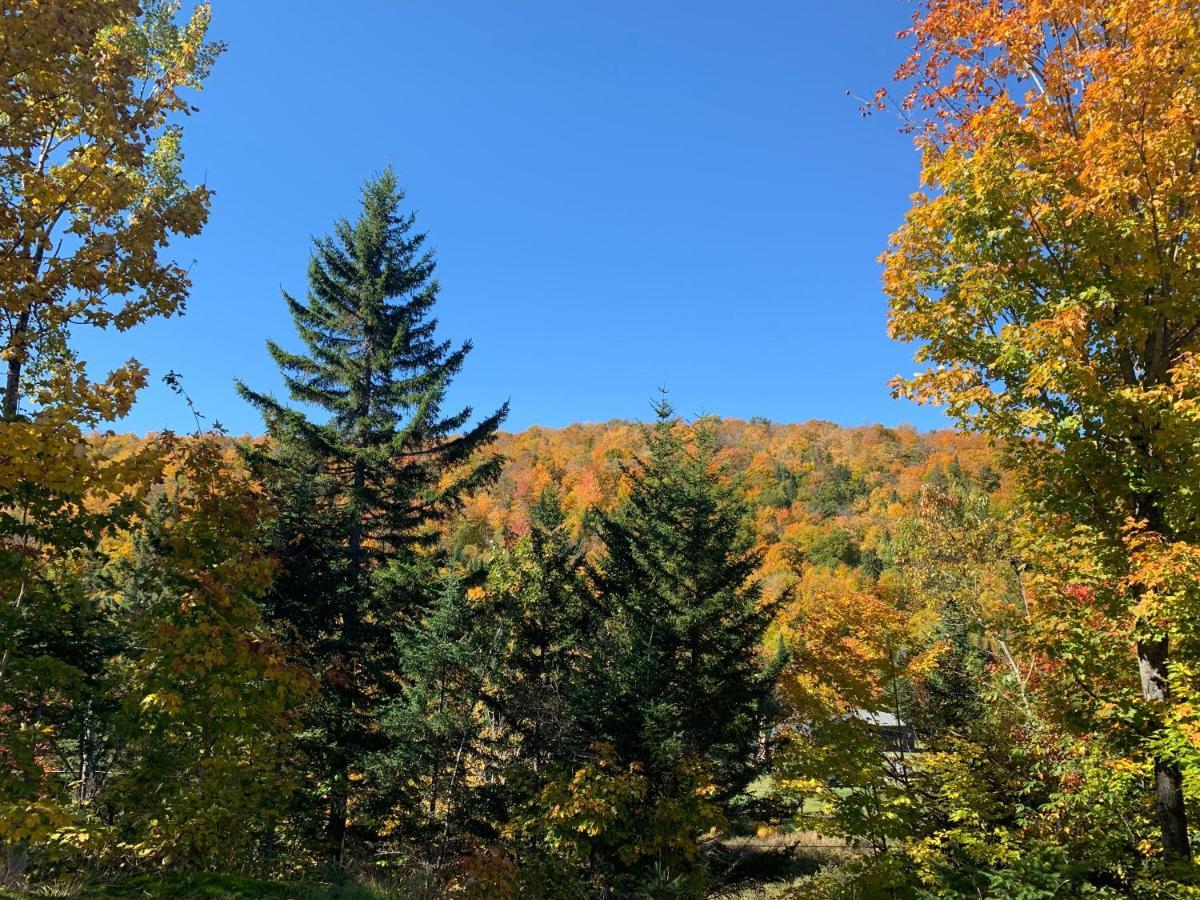 Loft Nature Laurentides Val-des-Lacs Luaran gambar