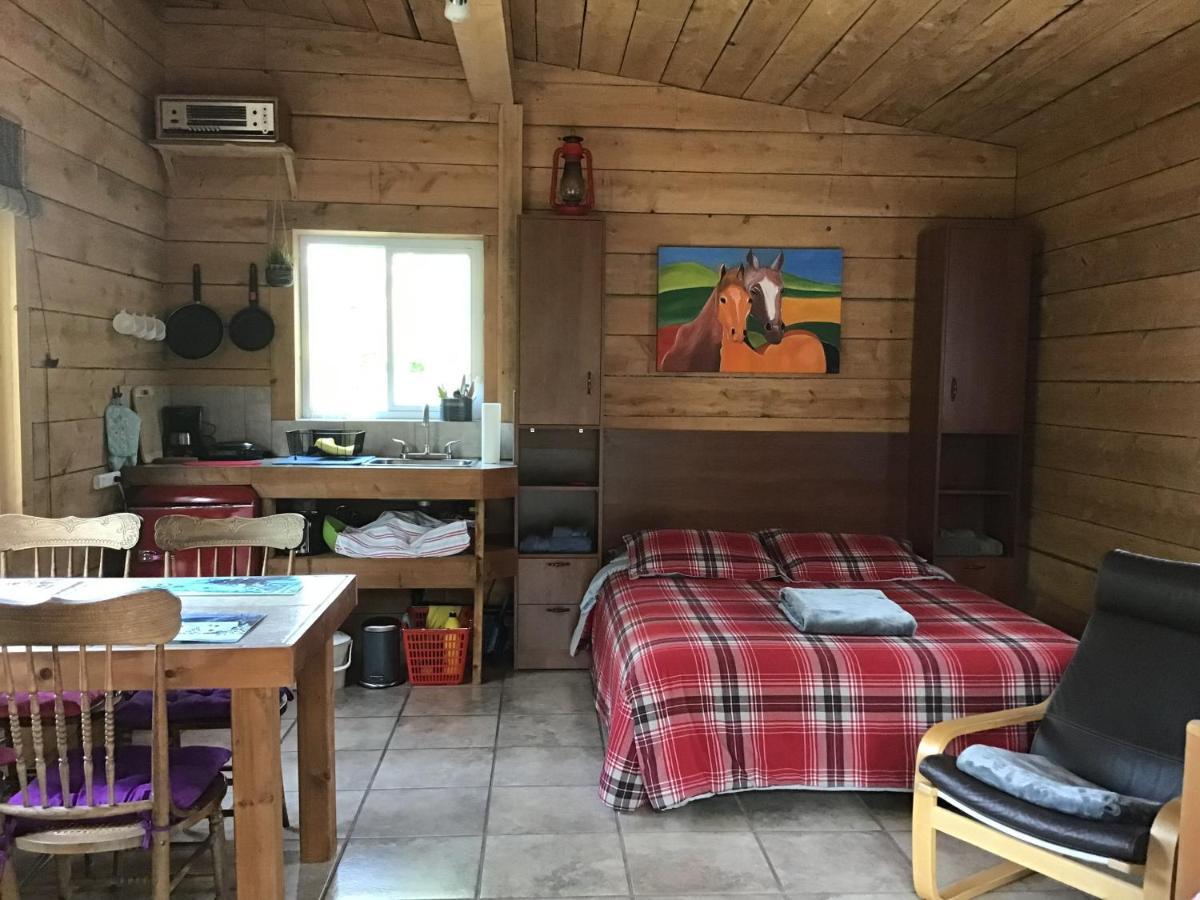Loft Nature Laurentides Val-des-Lacs Luaran gambar