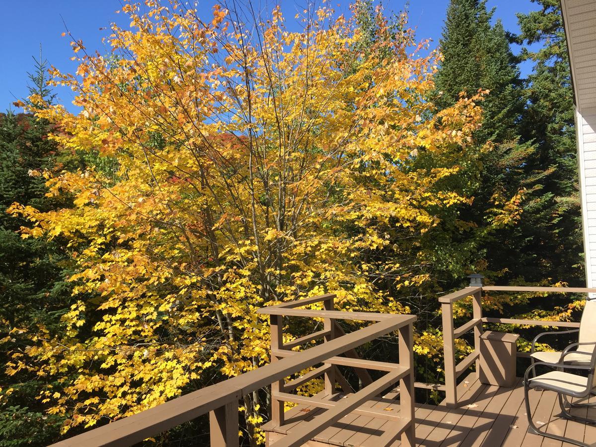 Loft Nature Laurentides Val-des-Lacs Luaran gambar