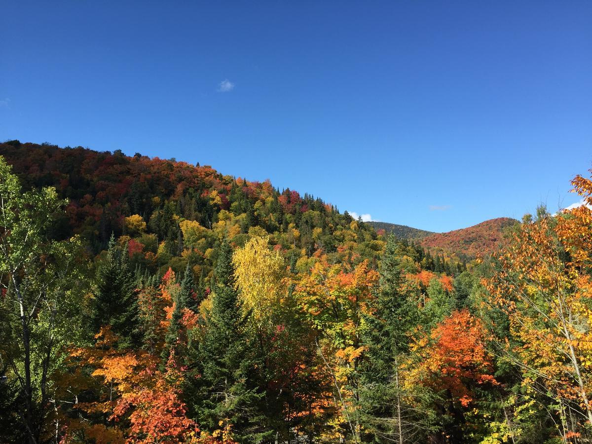 Loft Nature Laurentides Val-des-Lacs Luaran gambar